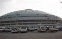 ngy4