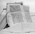 6.gif