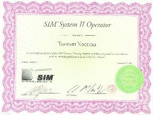 sim-noguchi.jpg